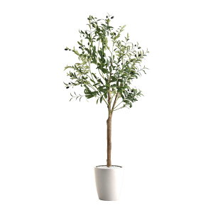 tFCNO[@I[u@LTCY@180cm @1 @AC{[F̔t @ȒP@tς}̊px͎R\@Ő̍Lm̒ɍ̂@JƏj J