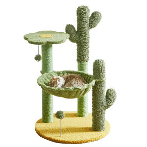 샊rO lRƂ̕炵KɁIT{eC[WLbg^[I CAT-TW-STN 1 49×49×83cm nFefB{A ω׏dF20kg qlg