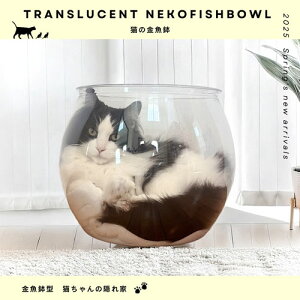 샊rO PETfނ̃XPg{[ L̋ CAT-NEKOFISHBOWL W27×D27×H28cm i
