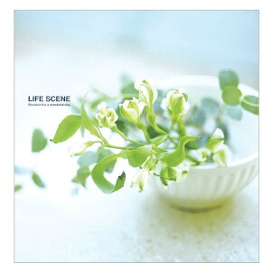 yiJoVz tGAoDigio CtV[ u[ LPF-1001-B yAoz yt[䎆Aoi֎jz