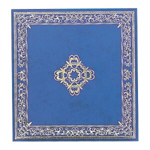 yiJoVz tGAo STCY A-SF-2A  yAoz yt[䎆Aoi֎jz