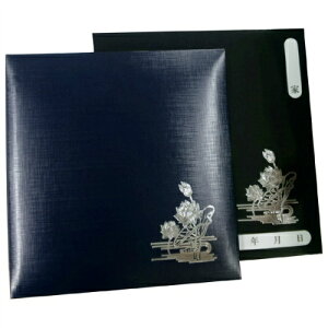 yiJoVz VpAo STCY i A-SSO-1 yAoz yt[䎆Aoi֎jz