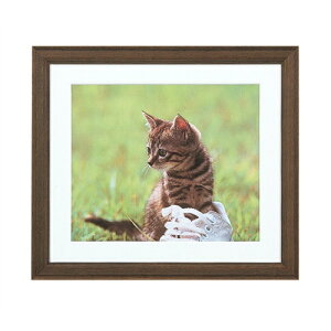 yiJoVz ؐʐ^z(p^)tHgt[ChZcؔ t-M95-13-BR uE yfpiz yt[Ezz