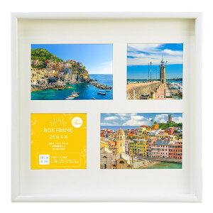 BOXt[25p4 zCg BXF25-4W-WH 