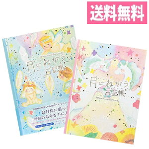 ɂ˂L B6TCY iVg^jR[j DI-13716/13717 y368^t[^Cv^_CA[^玙L^^玙L^GR[ʐ^zyN[Ysz