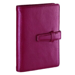 _B` VXe蒠 X^_[hmini5TCY 11mm C DPM3037Z 4902562493541 CC