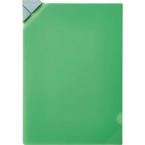 iiNt@C()  580T-G LOW