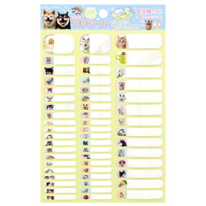 łȂ܂V[ 킢ybg 2140556A TX^[ Vw j v[g Vw w 1N