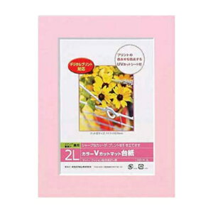 【ナカバヤシ】 DigioカラーVカットマット台紙 写真台紙 2Lサイズ ピンク DGVM-2L-P/V 【アルバム】 【写真台紙】