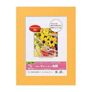 yiJoVz DigioJ[VJbg}bg䎆@ʐ^䎆@2LTCY@IW@@DGVM-2L-O/V@yAoz yʐ^䎆z