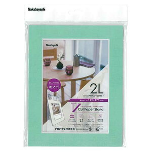 フォトフレーム 額縁 Vカットペーパースタンド 差込式 2L ブルー VPS-2L-B ナカバヤシ