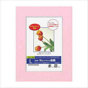 tHgt[ z DigioJ[ VJbg}bg䎆 iy[p[ tHgt[j LTCY sN DGVM-L-P/V iJoV