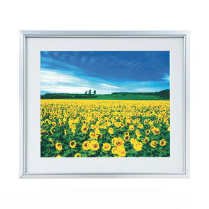 tHgt[ z yʃA~ ʐ^ziی^) lcؔiVo[) t-SA-225-S iJoV