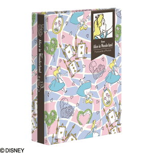 Ao fBYj[LN^[ 1PK KG40[ |PbgAo ӂ̍̃AX 1PK-40-7-3 iJoV