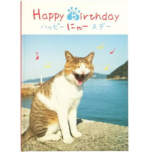 wXeCt bZ[WubN aJ[h Happy Birthday nbs[ɂ[Xf[ V ˂ L B11008 o[Xf[J[h v[g bZ[WJ[h