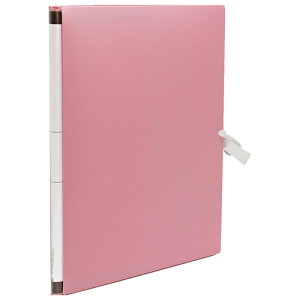 yZLZCz ̂с`t@CGX[hPP A4-S@sN AE-1250-21 yt@Cz yĂƂt@Cz