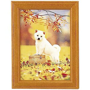 yJ-817018zytWJ[zʐ^ Mt-K2 uEyt[Ezz