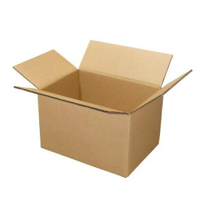 �yJ-330458�z�y�W���C���e�b�N�X�z�y������s�E�����s�zW�t���[�g�_���{�[���� ��10�� B239J-L�y����E��z