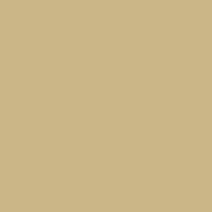 �yJ-365301�z�y�W���C���e�b�N�X�z�P�F���肪�݃A�C�{���[ 100�� B260J-41�y�܂莆�z