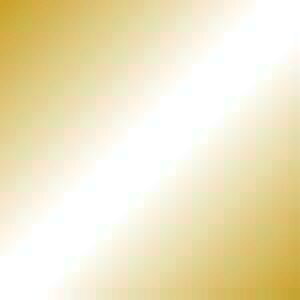 yJ-365302zyWCebNXzPF肪݋F 100 B261J-25y܂莆z