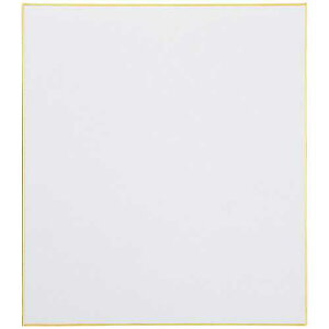 yJ-366027zyWCebNXzF TCp 100 N101J-S-2PyFE܏pz