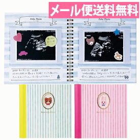 楽天市場 マタニティ ダイアリーの通販