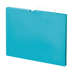 ʃtH_[NEOS@PPA4}`15mmBF A4P-NEF15B RN