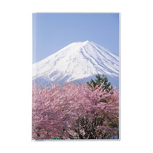 yZLZCz pbN@Jo[Ao@@2LŁ@xmR@t@PKA-715-00@ yAoz y|Pbg^Cvi䎆Œ莮jz