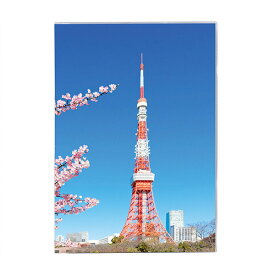 【セキセイ】 パックン　カバーノート　高透明　A5　東京タワー　PKN-732-00　 【ノート・紙製品】 【ノート】