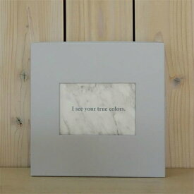 【セキセイ】 HOOK COLOR ボックス　＜ライトグレー＞　HK-5785-61　 【ボックスファイル】 【小物整理用品】 【ポイント10倍】