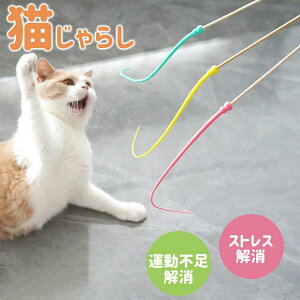 L炵 L̊ߋ XgX L lY~̂ 3F y VR@fވSVR ˂ߋ    L̂D݂炵 lY~̐K Lp ނ L