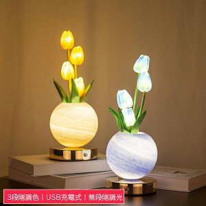 e[uv LEDCgn[g `[bv iK LEDC~l[VCg USB[d 3i RGBϊCg ドCg v ͋C gF ^b`J NX