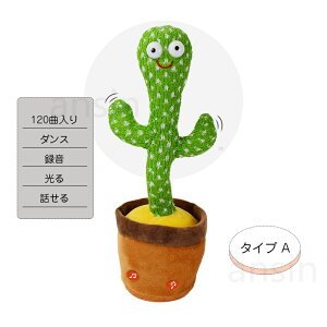 _Vi10{|Cg^SNSŘb xT{e x ̂ T{e  _XT{e Ԃ xr[ LbY q 120 VFCN _VO ʂ ^ p̉̕t y 