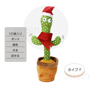 _Vi10{|Cg^SNSŘb xT{e x ̂ T{e  _XT{e Ԃ xr[ LbY q 120 VFCN _VO ʂ ^ p̉̕t y 