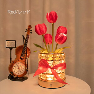 e[uv  u^ X^h ԐڏƖ `[bvLEDCgn[g Q CeA  LEDC~l[VCg USB[d 3i RGBϊCg ドCg 