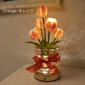 e[uv  u^ X^h ԐڏƖ `[bvLEDCgn[g Q CeA  LEDC~l[VCg USB[d 3i RGBϊCg ドCg 