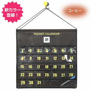 カレンダーポケット ウォールポケット お薬カレンダー 1ヶ月 壁掛けポケット 壁掛け収納式 小物収納 多目的ポケット 吊り下げ ポケット 小物収納 薬入れ 小物入れ 雑物整理 便利 省スペース