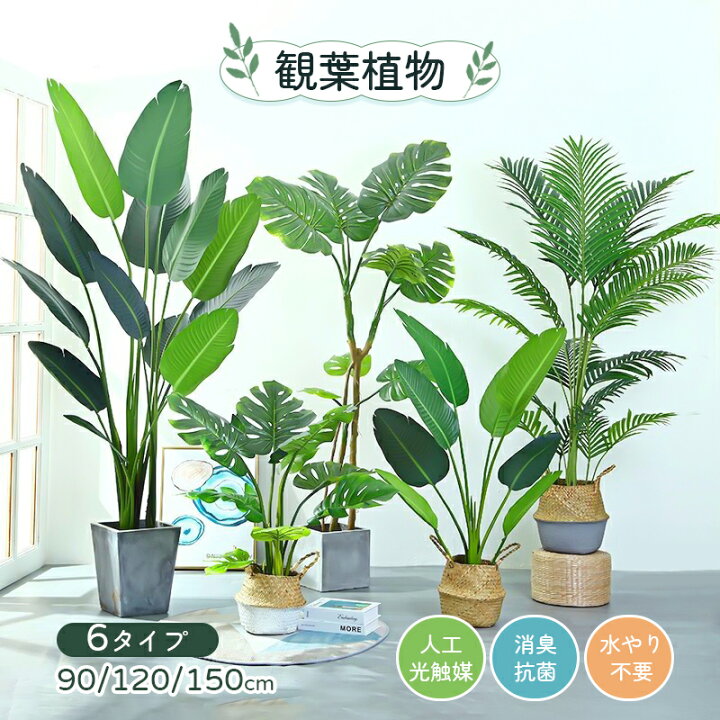 楽天市場】観葉植物 パキラ 大型 フェイク 大きい 造花 光触媒 90 120 