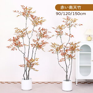 ϗtA pL ^ tFCN 傫  G} 90 120 150cm L R sv ϗtA L A  ͂Ȃ lHA  t v^[ o[N`bv A  ItB