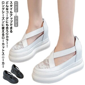 Xj[J[ fB[X T_  {v Xj[J[ q[6cm V[Nbg4cm [X q[Abv Cq[Xj[J[ V[Y y y ₷ ₷ ɂ 