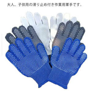 qpR lpR y1oz ~ߕt LbYpR ǂp qǂp Lv nCLO | AEghA WjA  @ ^ O