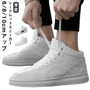 V[NbgV[Y  gAbv5cm up6cm wȂ 8cm Y Xj[J[ V[NbgV[Y Cq[ K JWAV[Y