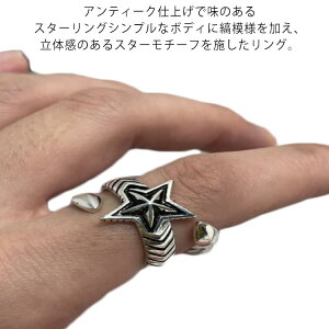 Vo[925 O  X^[ fB[X Y w t[TCY \ lC `[t Ȗ͗l ݊ Vo[ silver S925 AM[Ή