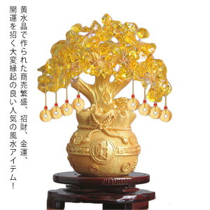   ̂Ȃ ̐ Sitj  ACe ^Abv Vg ^ ^ u N ƒ ؂₩ ɐ K^ J^ J^F VR CeA C