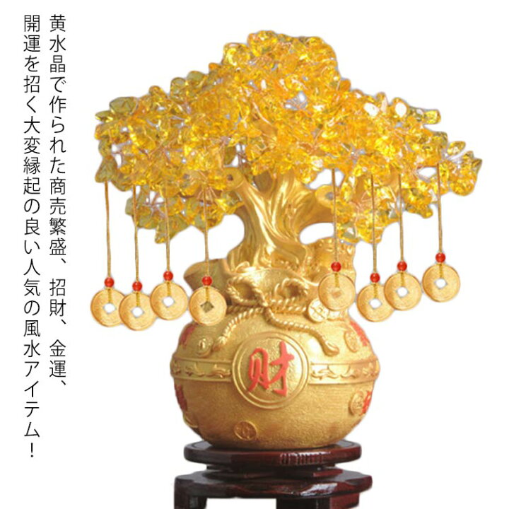 楽天市場】黄金木 招財樹 金のなる木 金の成る木 L（台座付き） 黄水晶 