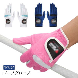 St O[u  fB[X 2Zbg 1yA fB[XO[u  fB[Xp StO[u