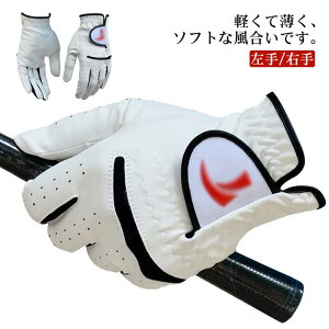 StO[u St j Y rv PU 1 /E ̓ Mtg av[g Y 蕨 Stpi hV̓