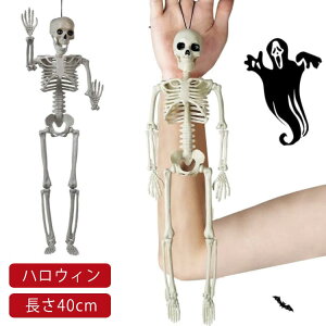 KCRc nEB   XJ ǂ hN  [ p XPg 40cm  ݂  p[eB[ w Xܑ