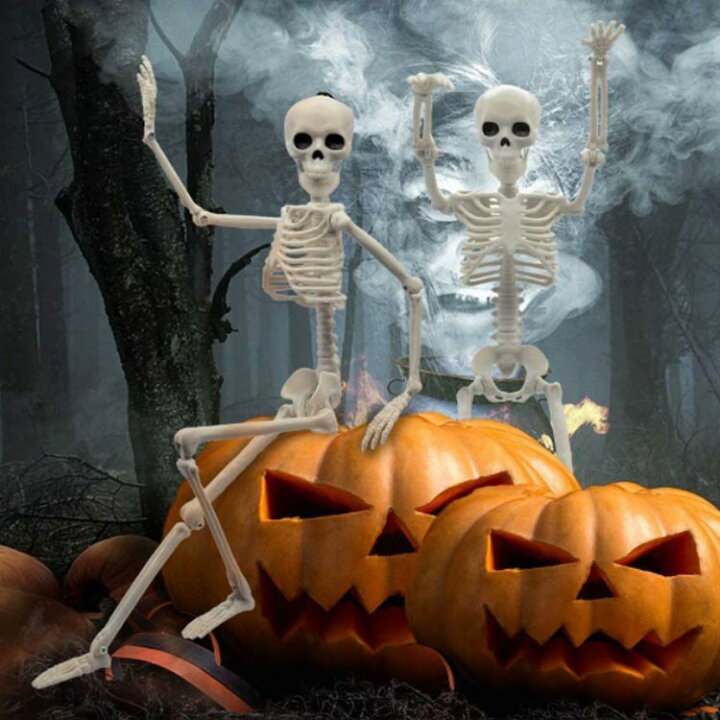 楽天市場】ガイコツ ハロウィン 飾り がいこつ スカル どくろ ドクロ 