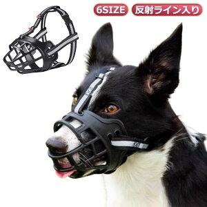 ̐^  ʋC rߖh~ YȂ ݂h~  ʖih~  }Y Œ ̌ p}Y Q  ݕȖh~ }XN ^ ^ ^ Oo֗